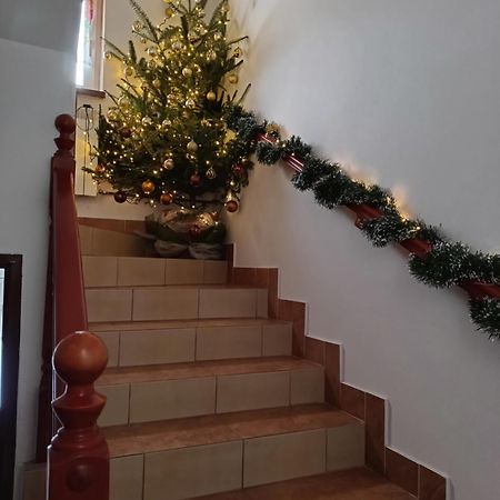 Noclegi U Brody Hoczew Kültér fotó
