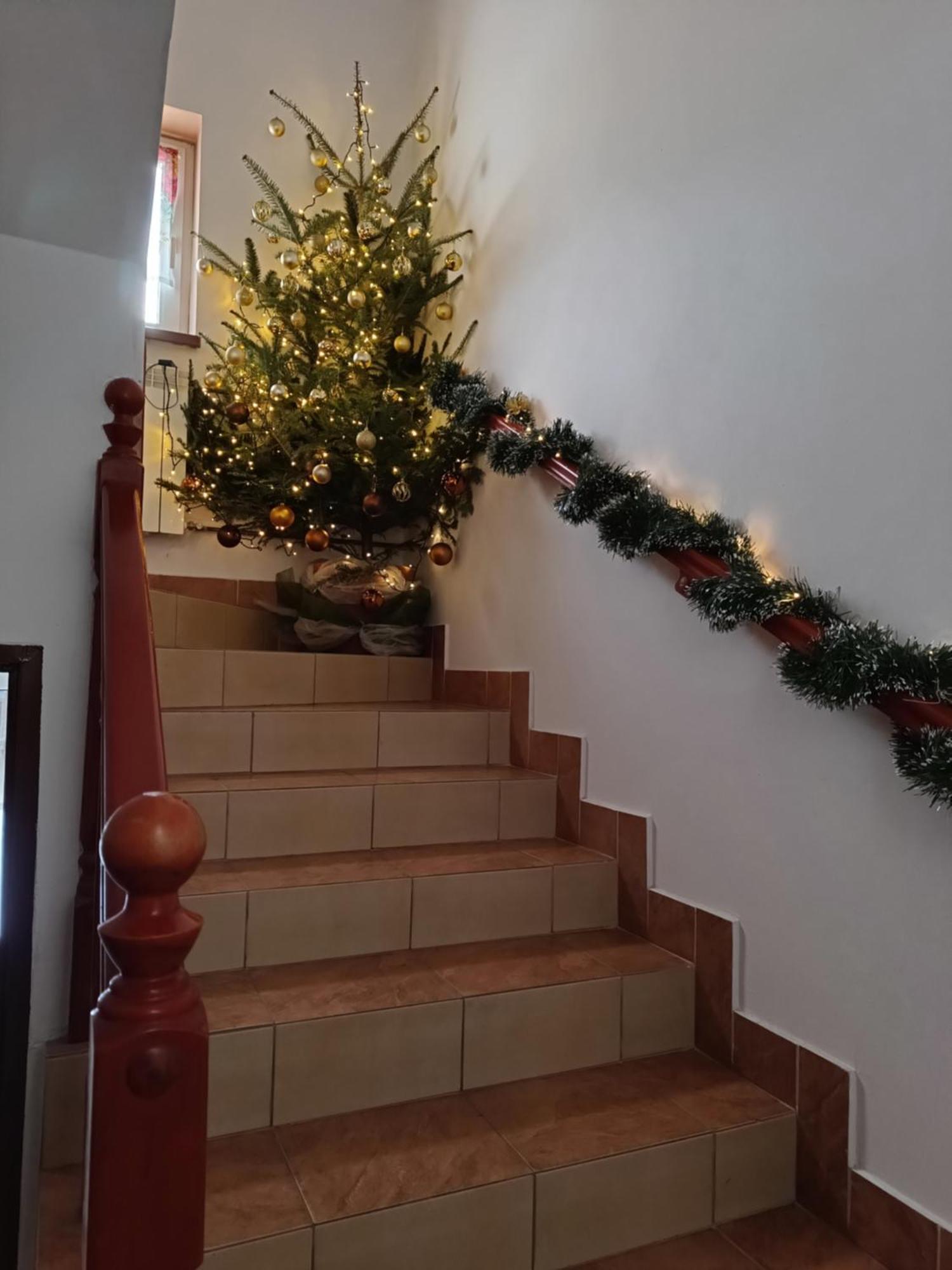 Noclegi U Brody Hoczew Kültér fotó